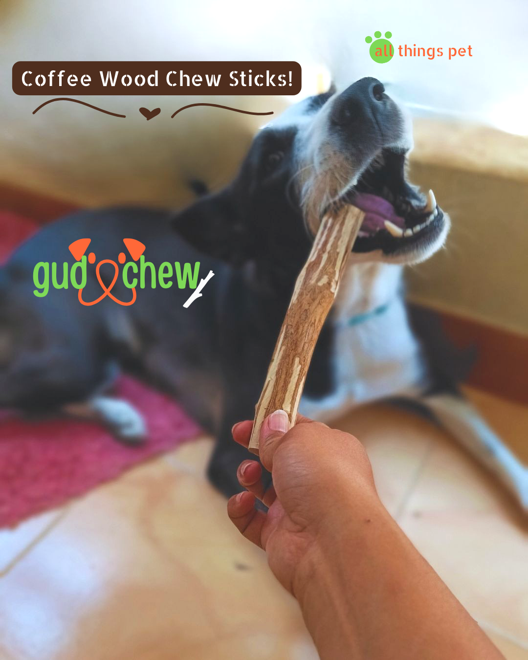 GudChew Coffee Wood Chews Sticks For Dogs