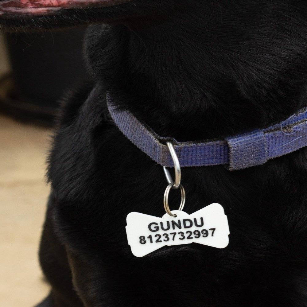Buy Dog Name Tag Bow Free Shipping All Things Pet