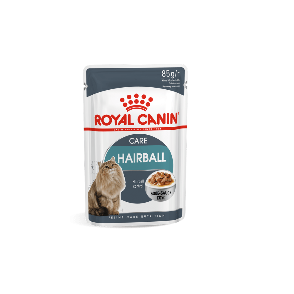 Buy Royal Canin Hairball Care Wet Cat Food Free Shipping All