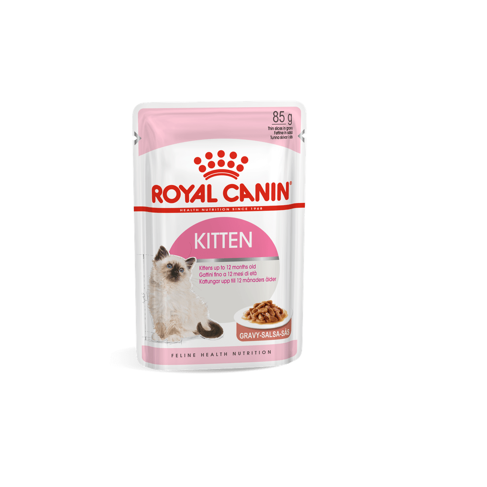 Royal canin outlet kitten canned food