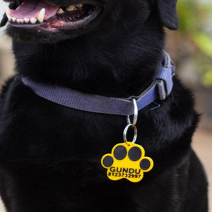 Name tag top for dog harness