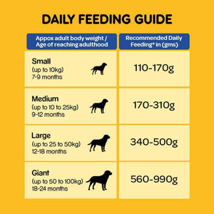 Senior dog 2024 feeding chart